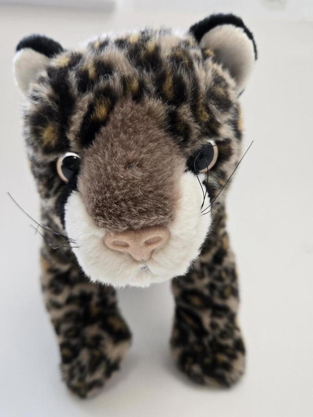 TY Classics Collection “Dot” the Leopard - No Hang Tag (13 inch)